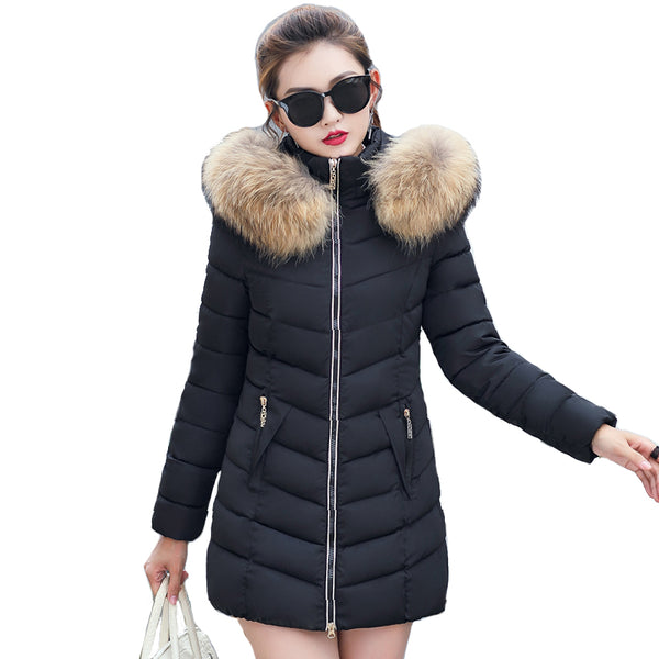 Winter Jacket With Fur Collar